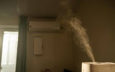 Best Air Purifier for Jacksonville Allergies: Pollen, Mold & Humidity