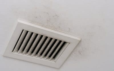 Can Mold Grow Inside My Air Conditioner?